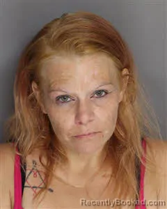 Mugshot of Heather Ruth Harris booked in Berkeley County, South Carolina on July 10, 2026