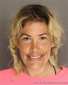 Mugshot of Jessica Christine Holbrook