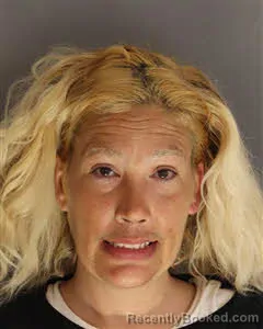 Mugshot of Jessica Christine Holbrook booked in Berkeley County, South Carolina on May 1, 2026