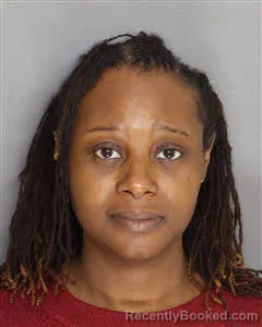 Mugshot of Jammyette Enfinisha Hunsinger booked in Berkeley County, South Carolina on May 11, 2026