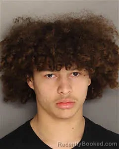 Mugshot of JAEDON MAKHI HOMAN