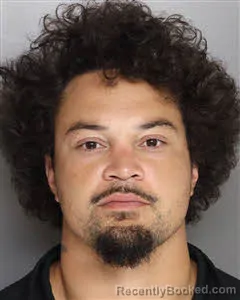 Mugshot of Mathew Jordan Henneman booked in Berkeley County, South Carolina on June 16, 2026