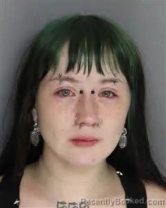Mugshot of Meredith Sue Hughes booked in Berkeley County, South Carolina on June 19, 2026