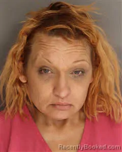 Mugshot of Revonda Lee Hammond