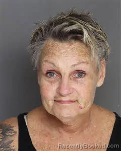Mugshot of Sherry Harvey booked in Berkeley County, South Carolina on June 24, 2026
