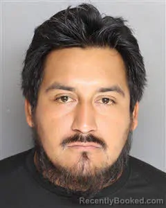 Mugshot of Edgar Jahir Jimenez Guerrero booked in Berkeley County, South Carolina on August 10, 2026