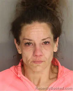 Mugshot of Heather Erica Jones booked in Berkeley County, South Carolina on April 5, 2026