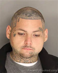 Mugshot of James Bradley Johnson booked in Berkeley County, South Carolina on August 13, 2026