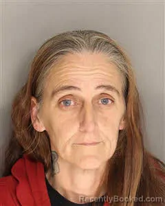 Mugshot of Jennifer Lynne Johnson booked in Berkeley County, South Carolina on August 13, 2026