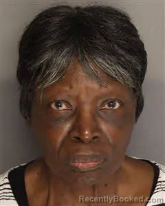 Mugshot of Loretta Mcneil Johnson booked in Berkeley County, South Carolina on August 26, 2026