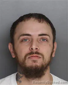 Mugshot of Tyler Lee Johnson booked in Berkeley County, South Carolina on July 30, 2026