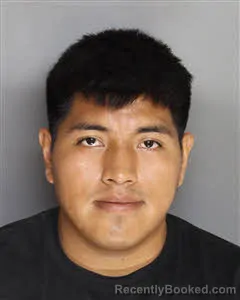 Mugshot of Frisly Juventino Lopez Romero booked in Berkeley County, South Carolina on June 26, 2026