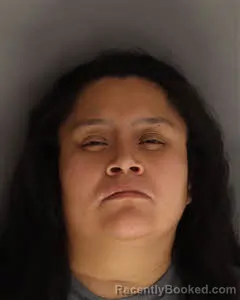 Mugshot of Jamie Lopez booked in Berkeley County, South Carolina on May 6, 2026