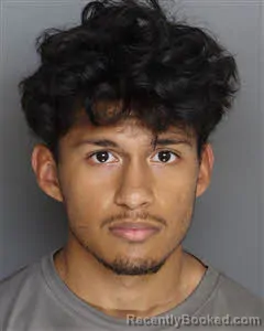 Mugshot of Luis Lazo booked in Berkeley County, South Carolina on July 9, 2026