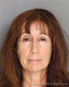 Mugshot of Linda Ann Laham booked in Berkeley County, South Carolina on August 13, 2026