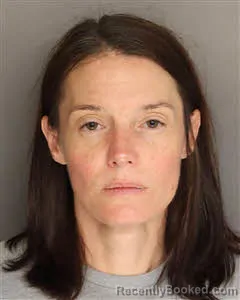 Mugshot of Megan Michelle Lee booked in Berkeley County, South Carolina on March 27, 2026