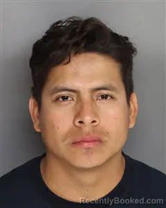 Mugshot of Ronald Asael Lopez Juarez booked in Berkeley County, South Carolina on June 6, 2026