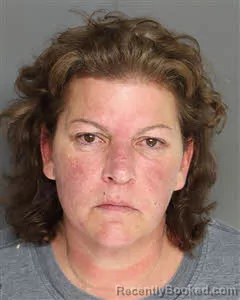 Mugshot of Shannon Leigh Lynch booked in Berkeley County, South Carolina on August 11, 2026