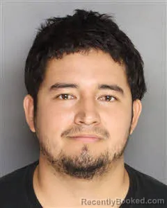 Mugshot of Brallan Emilser Matias Solis booked in Berkeley County, South Carolina on August 7, 2026