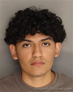 Mugshot of Gonzalo Juaquin Madrid