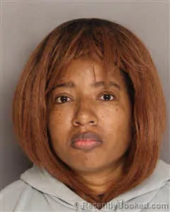 Mugshot of MICHELLE MITCHELL booked in Berkeley County, South Carolina on August 4, 2026
