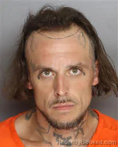 Mugshot of Michael Shane Mallonee booked in Berkeley County, South Carolina on September 15, 2026