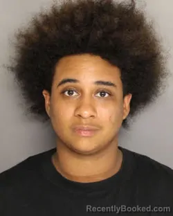 Mugshot of Tela Maria Middleton