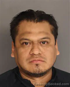 Mugshot of Victor Mejia Flores