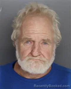 Mugshot of William Derrick Mclendon booked in Berkeley County, South Carolina on August 13, 2026