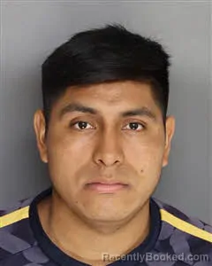 Mugshot of Marco Antonio Navarro Solano booked in Berkeley County, South Carolina on October 4, 2026