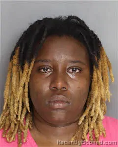 Mugshot of Bailey Ella Pinckney booked in Berkeley County, South Carolina on August 7, 2026