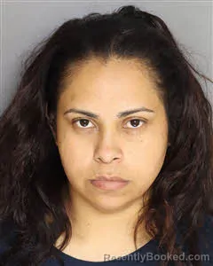 Mugshot of Elisa Paz Canizales booked in Berkeley County, South Carolina on July 30, 2026