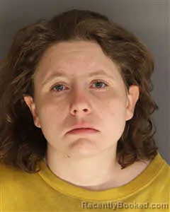 Mugshot of Ginny Evelyn Fye Phillips booked in Berkeley County, South Carolina on May 5, 2026