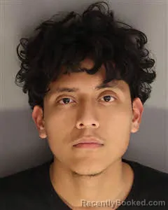 Mugshot of Luis Pena-Perez booked in Berkeley County, South Carolina on May 5, 2026