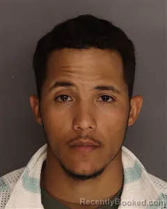 Mugshot of Marcelino Pereira-Silva booked in Berkeley County, South Carolina on April 5, 2026