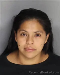Mugshot of Silvia Leticia Perez Funes booked in Berkeley County, South Carolina on October 6, 2026