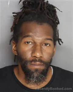Mugshot of Torrian Damon Palmer booked in Berkeley County, South Carolina on May 17, 2026