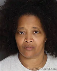 Mugshot of Thressa Denese Perkins booked in Berkeley County, South Carolina on July 9, 2026
