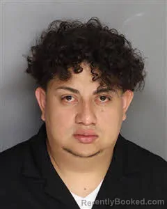 Mugshot of Victor Alberto Perez Navarrete booked in Berkeley County, South Carolina on August 25, 2026