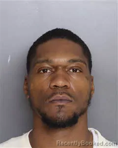 Mugshot of Wayne De Angelo Palmer booked in Berkeley County, South Carolina on August 5, 2026
