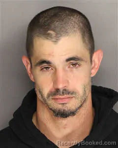 Mugshot of David Michael Rhodes