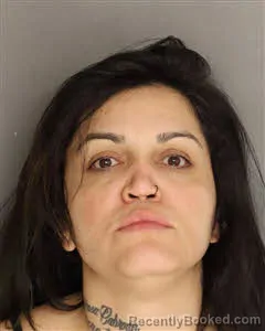 Mugshot of Jhessika Rodrigues-Da-Cunha-Melgaco