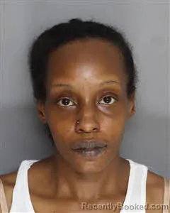 Mugshot of Ariel Lucille Sanders booked in Berkeley County, South Carolina on July 6, 2026