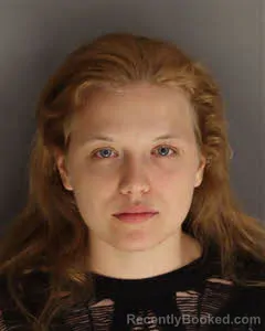 Mugshot of Deborah Ann Marie Stead booked in Berkeley County, South Carolina on May 2, 2026