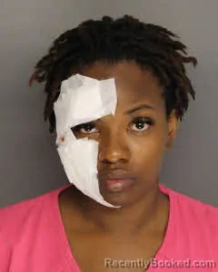 Mugshot of Ericia Shaquia Denee Sanders