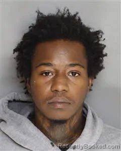 Mugshot of Joshua Darrell Swinton booked in Berkeley County, South Carolina on October 8, 2026