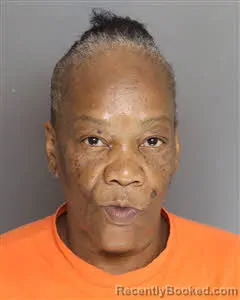Mugshot of Wanda Verna Staley booked in Berkeley County, South Carolina on August 16, 2026