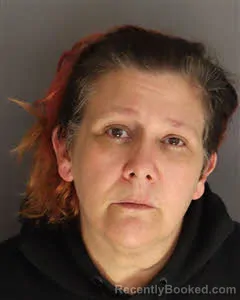 Mugshot of Robin Haynes Treadway booked in Berkeley County, South Carolina on May 6, 2026