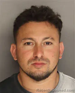 Mugshot of Welman Joel Torres booked in Berkeley County, South Carolina on April 10, 2026