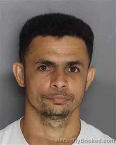 Mugshot of Edgar Jose Verdiano booked in Berkeley County, South Carolina on July 11, 2026